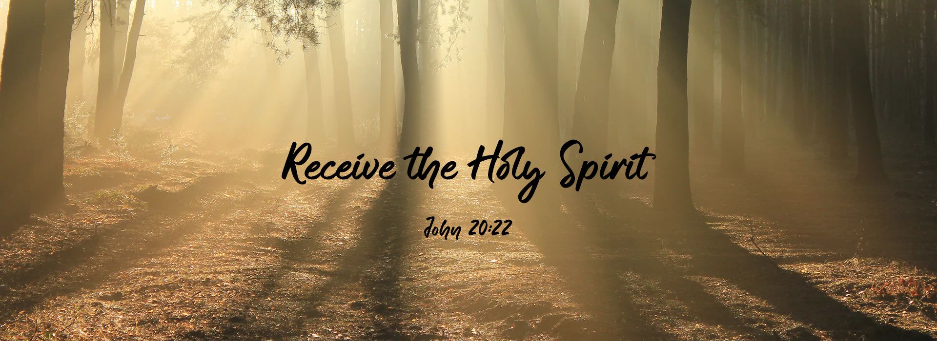 Banner Image 2 For Pentecost Sunday