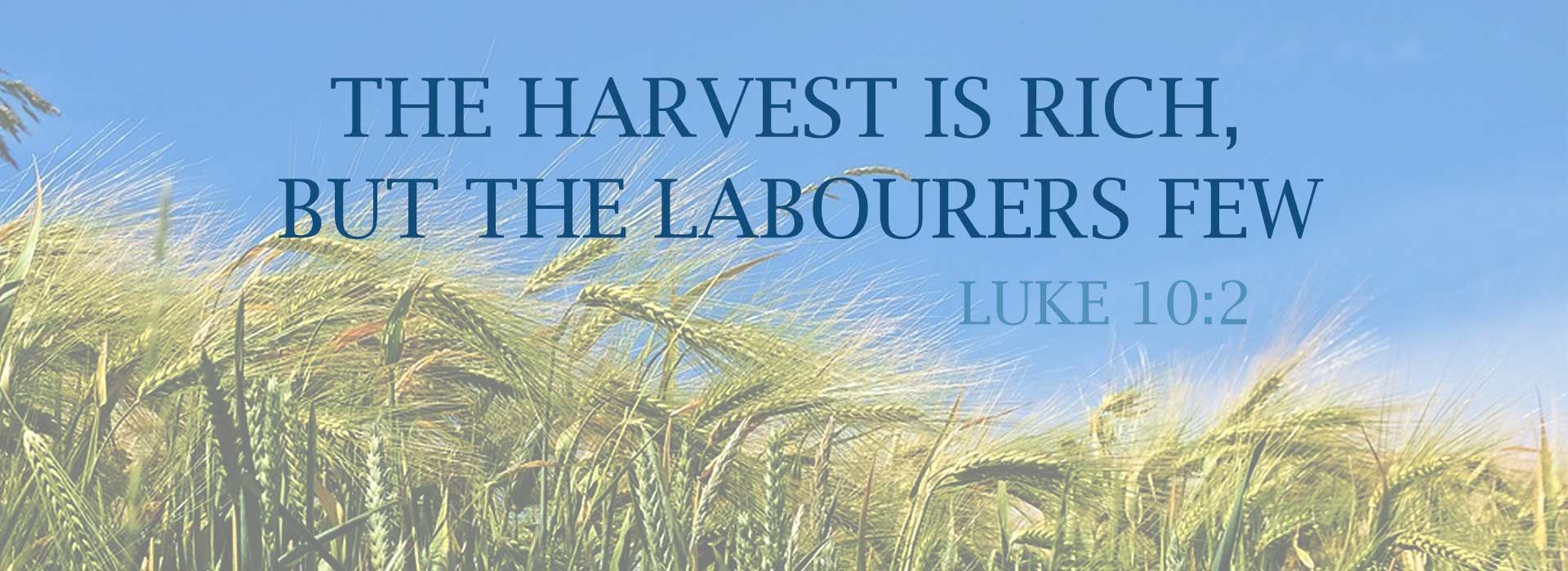 Banner 1 Image For Fourteenth Sunday In Ordinary Time