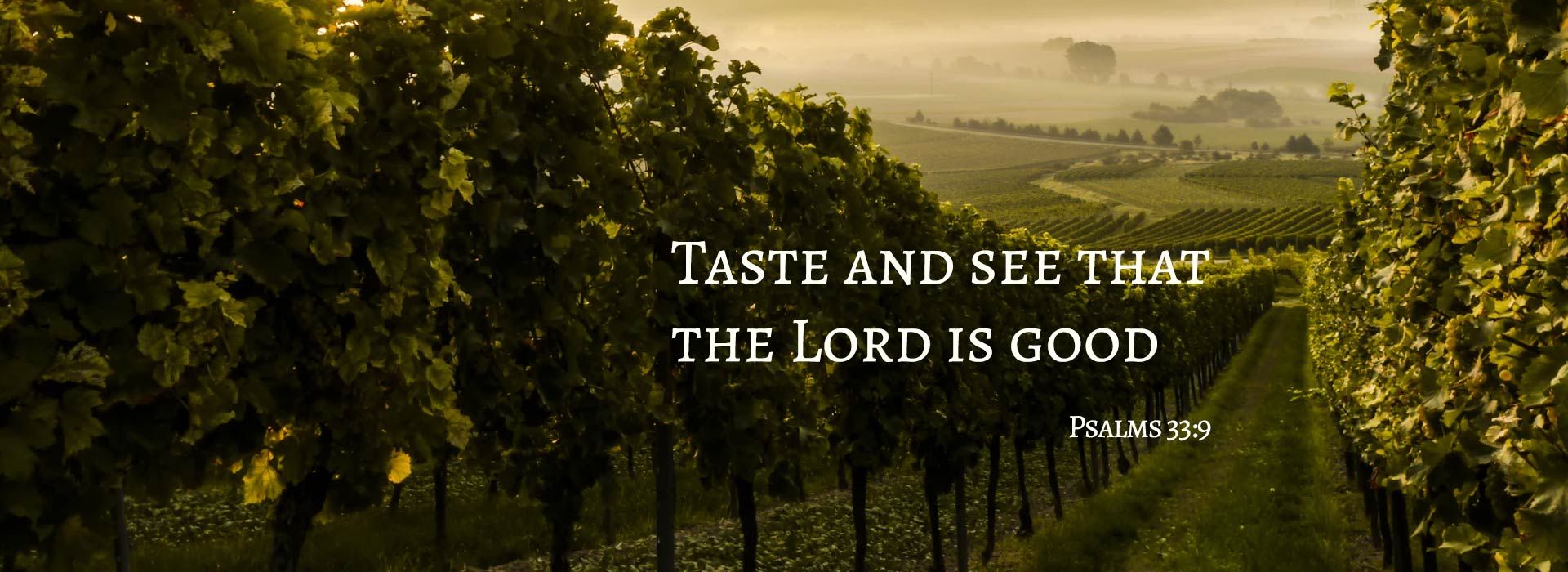 Banner 6 Image For Fourteenth Sunday In Ordinary Time