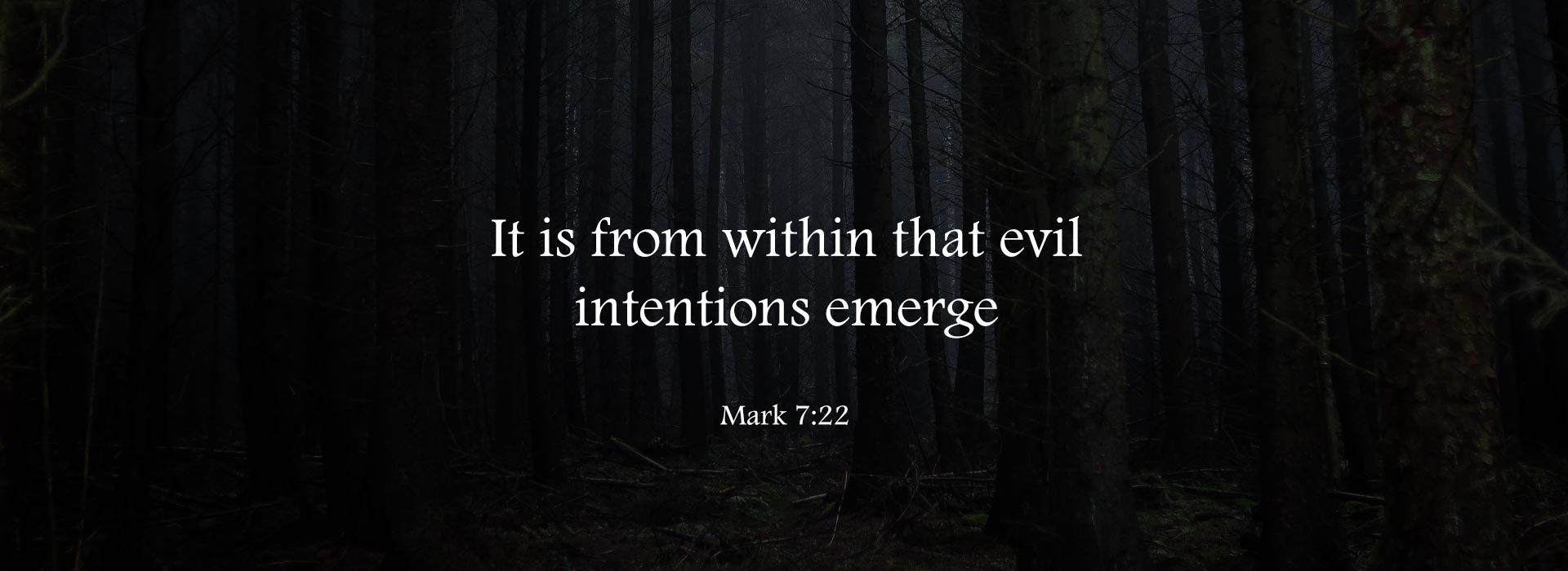 Banner Image 4 For 22nd Sunday In Ordinary Time
