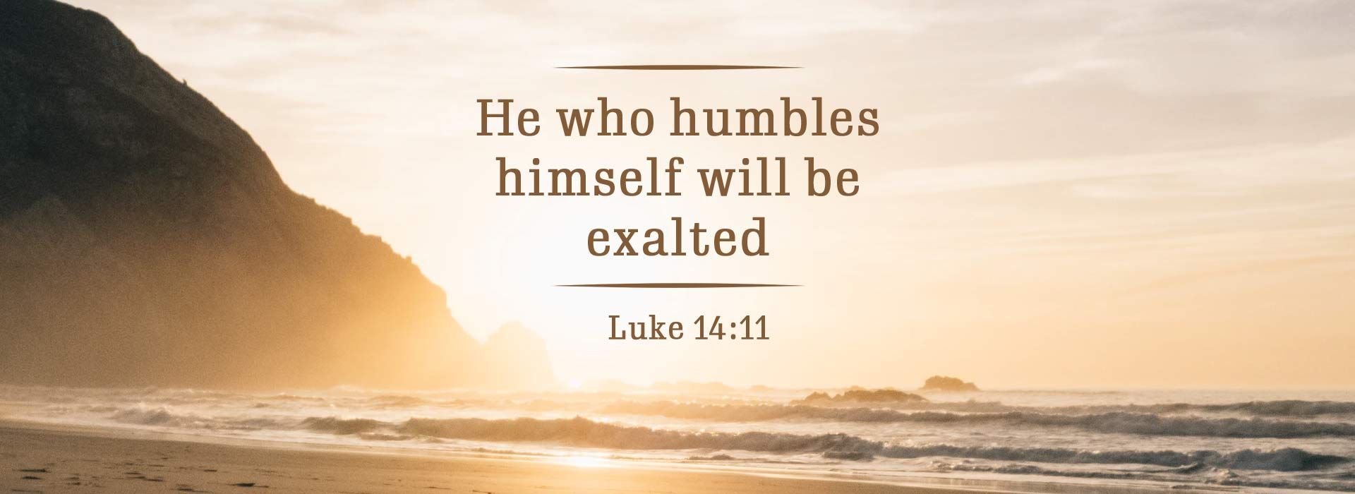 Banner Image 6 For 22nd Sunday In Ordinary Time
