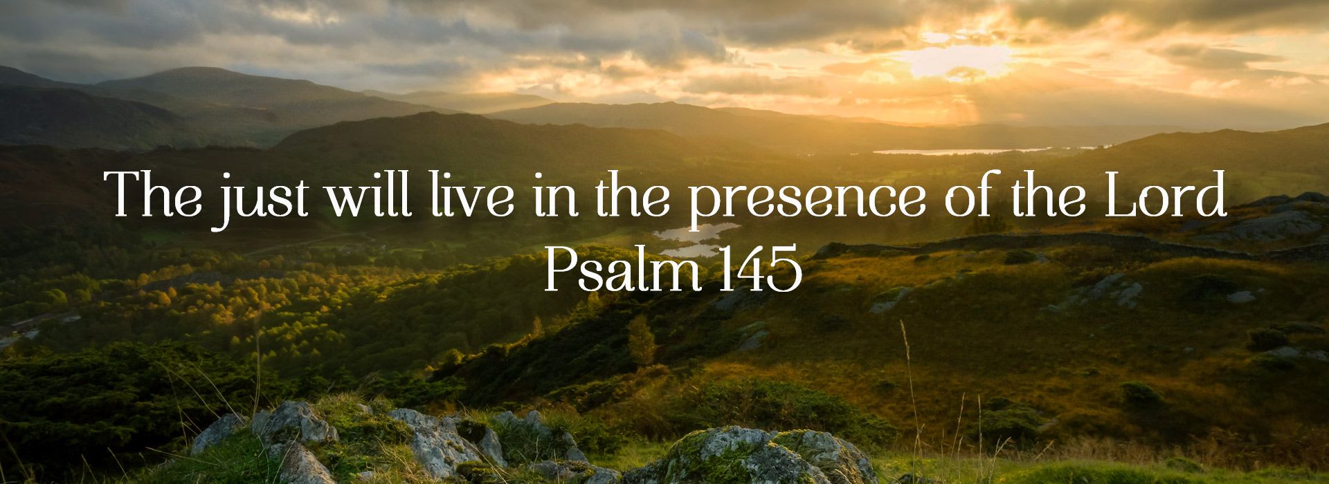 Banner Image 9 For 22nd Sunday In Ordinary Time