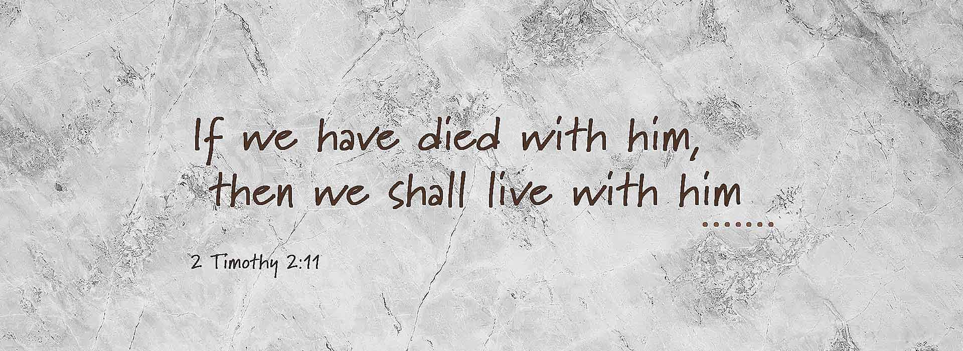 Banner Image 1 For 28th Sunday In Ordinary Time