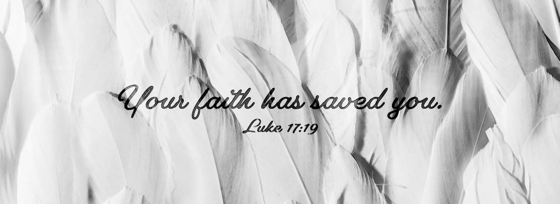 Banner Image 2 For 28th Sunday In Ordinary Time