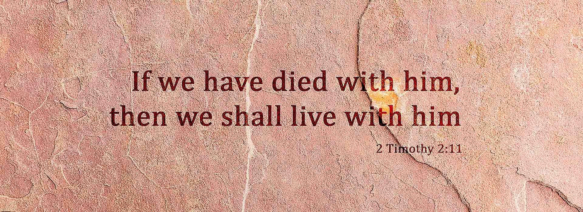 Banner Image 3 For 28th Sunday In Ordinary Time