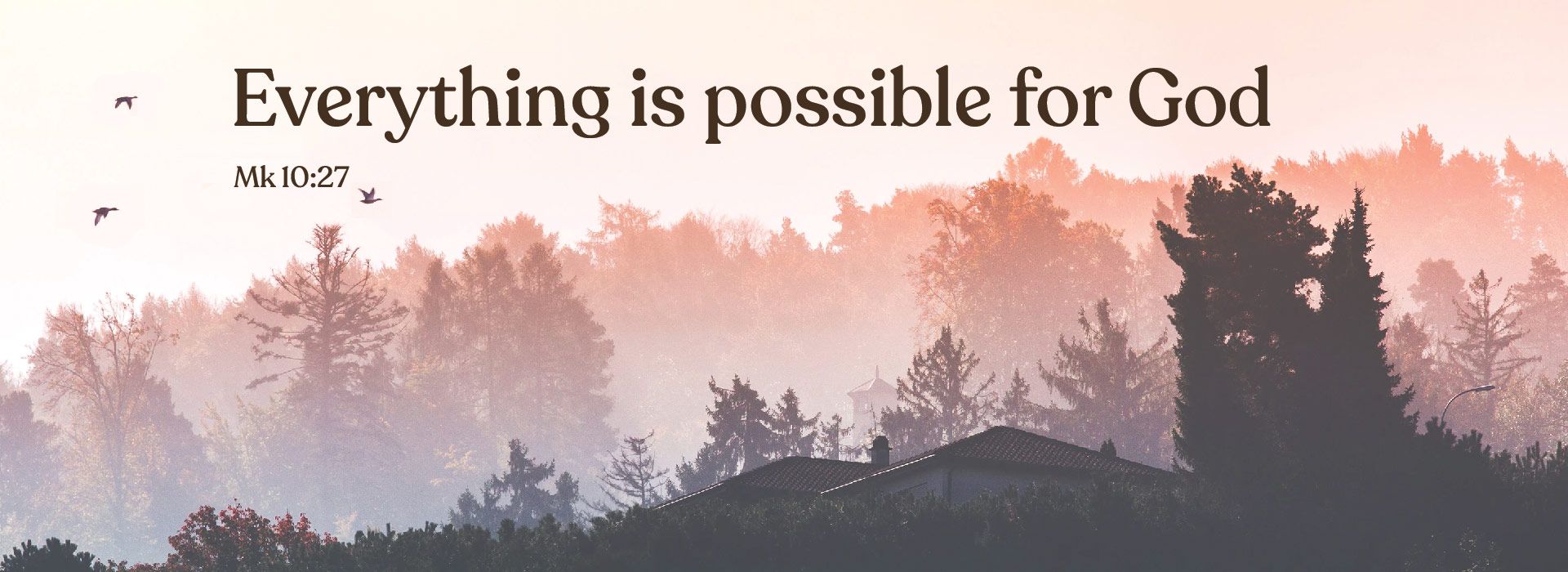 Banner Image 7 For 28th Sunday In Ordinary Time