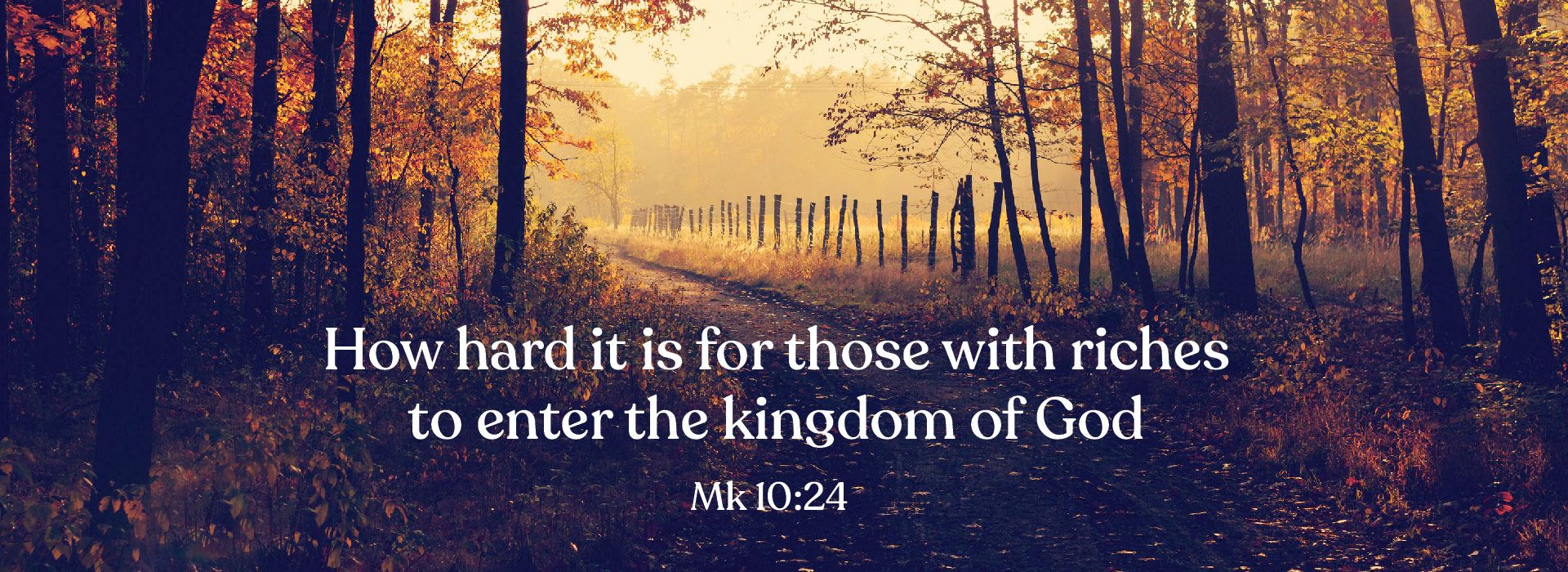 Banner Image 8 For 28th Sunday In Ordinary Time