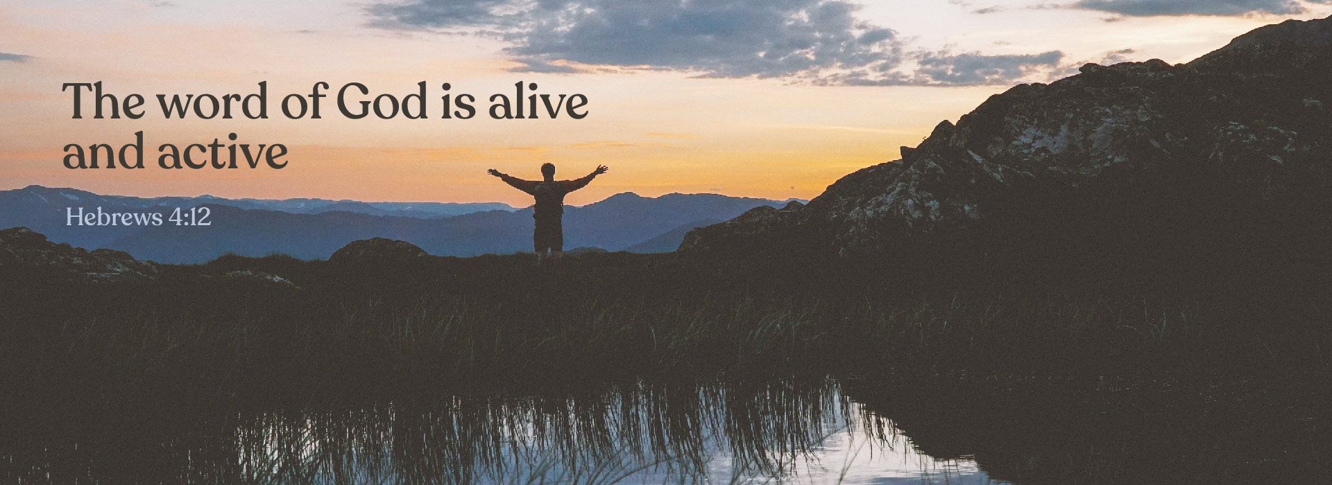 Banner Image 9 For 28th Sunday In Ordinary Time