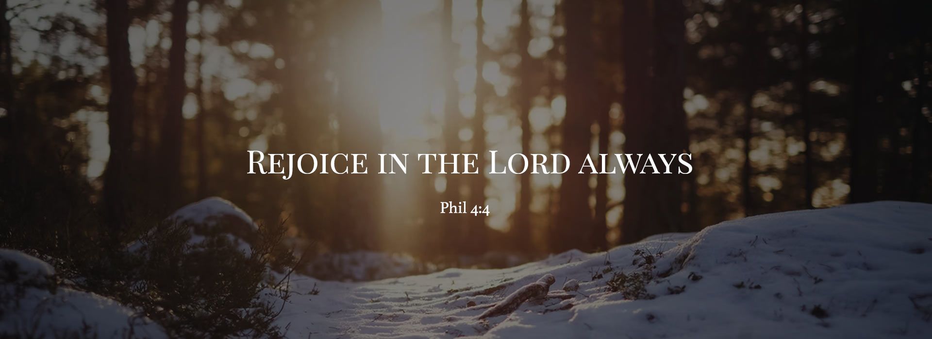 Banner Image 13 For 3rd Sunday Of Advent