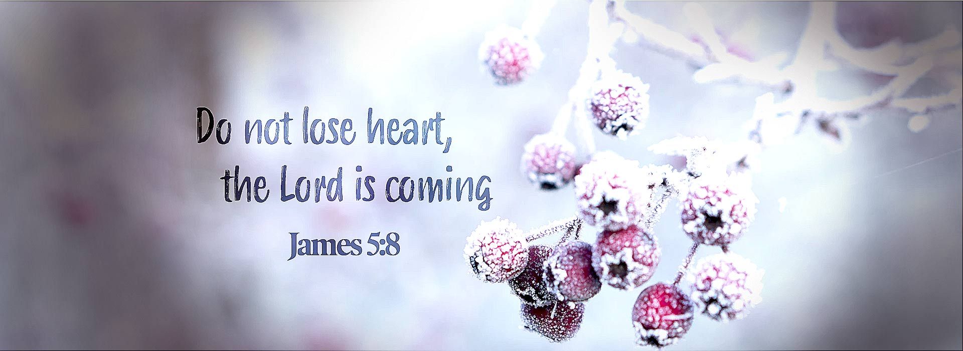 Banner Image 2 For 3rd Sunday Of Advent