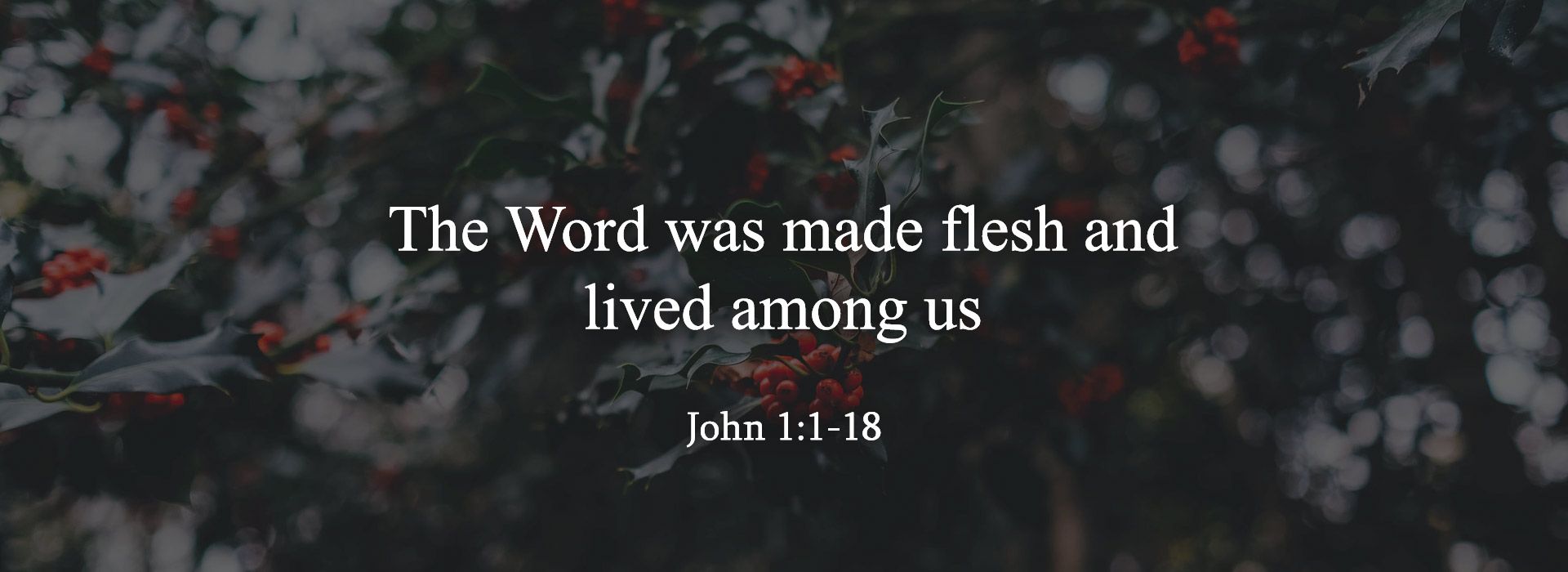 Banner Image 8 For 3rd Sunday Of Advent