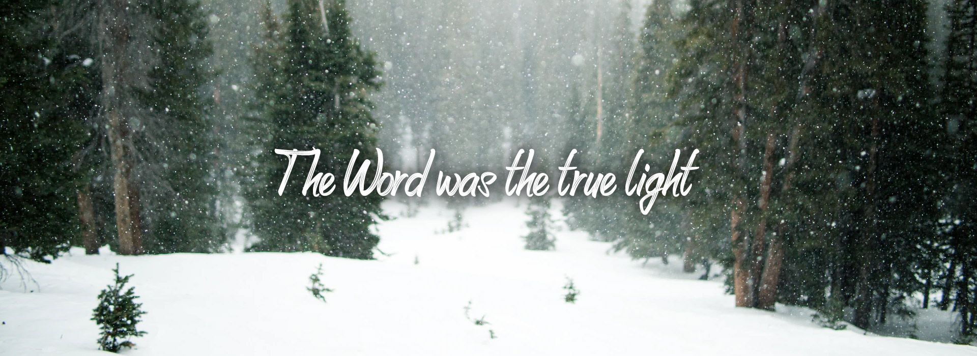 Banner Image 9 For 3rd Sunday Of Advent