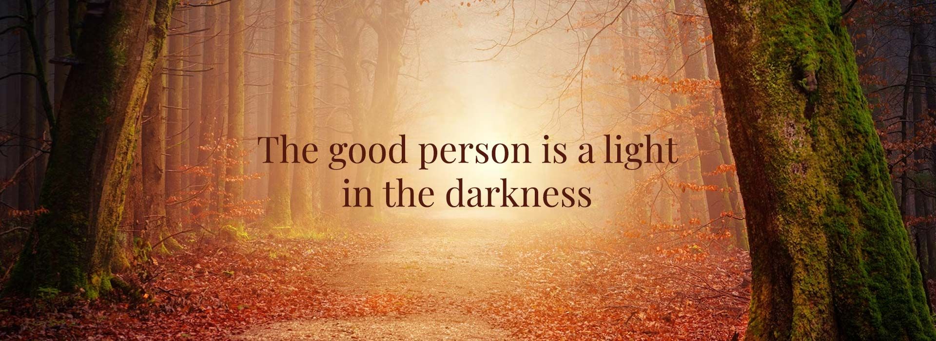 Banner Image 11 For 5th Sunday In Ordinary Time