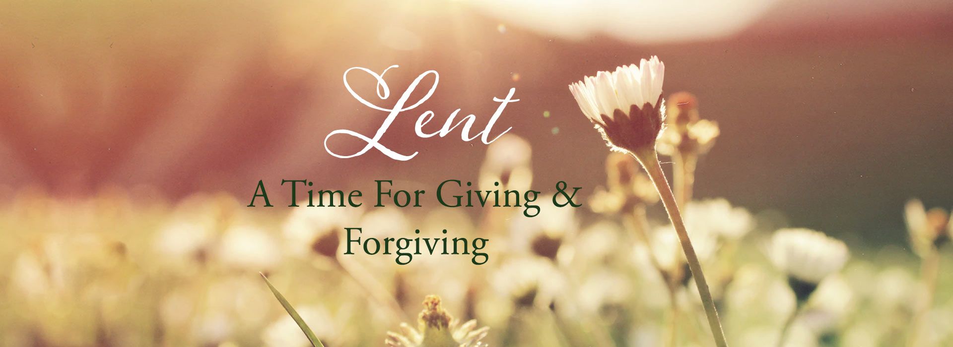 Banner Image 3 For Season Of Lent