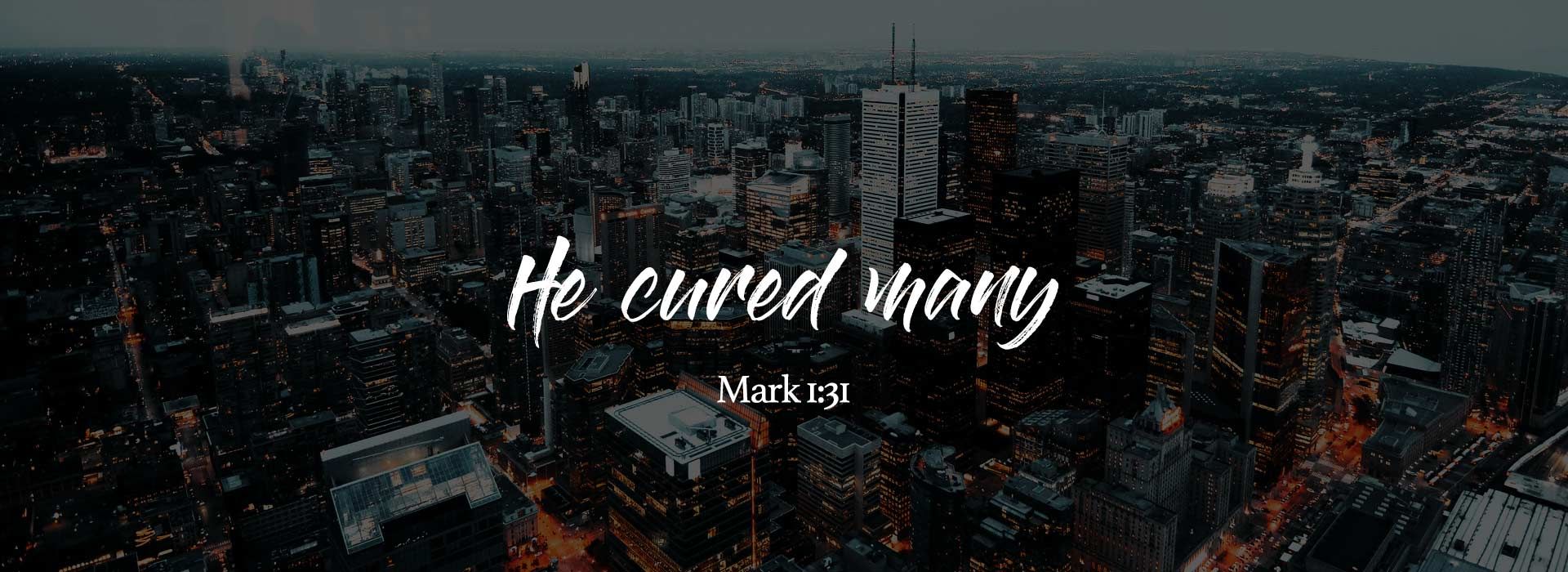 Banner Image 4 For 5th Sunday In Ordinary Time