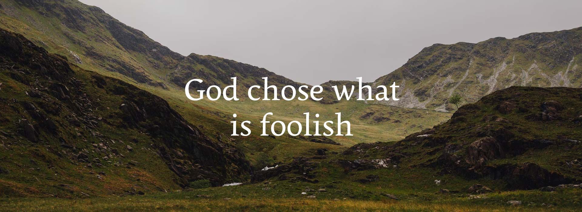 Banner image 9 For 4th Sunday In Ordinary Time