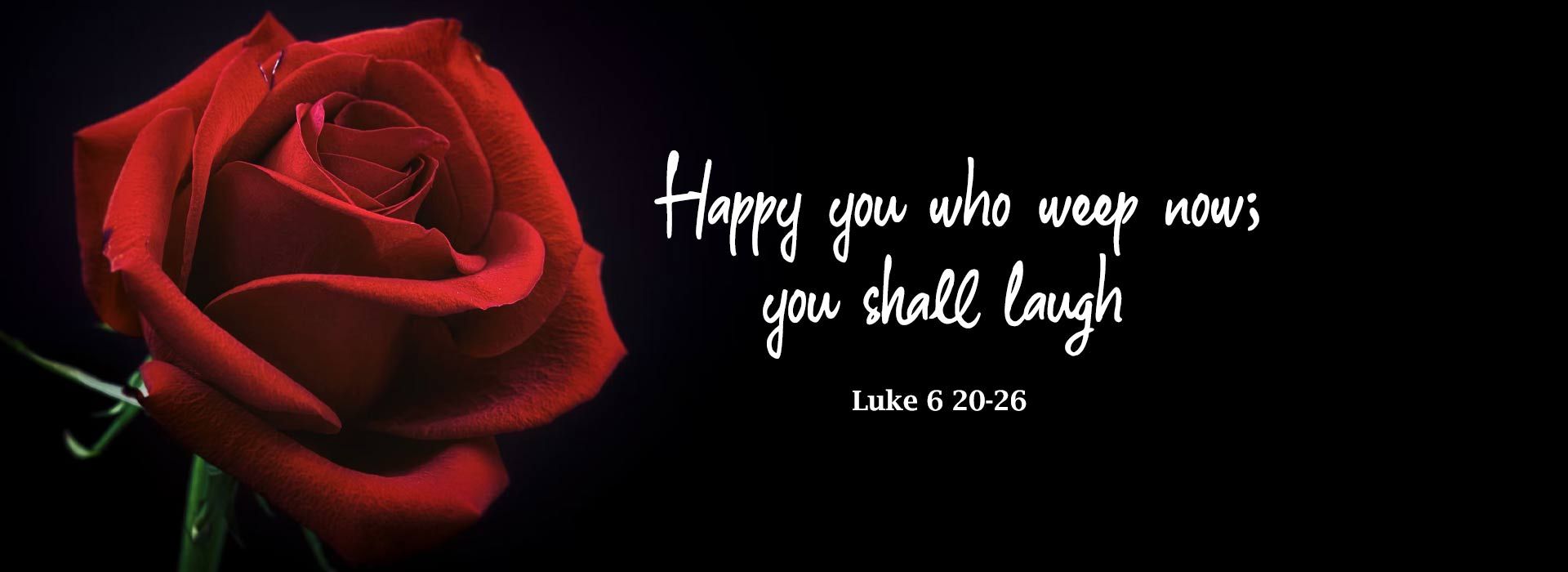 Banner Image  9 For 6th Sunday In Ordinary Time