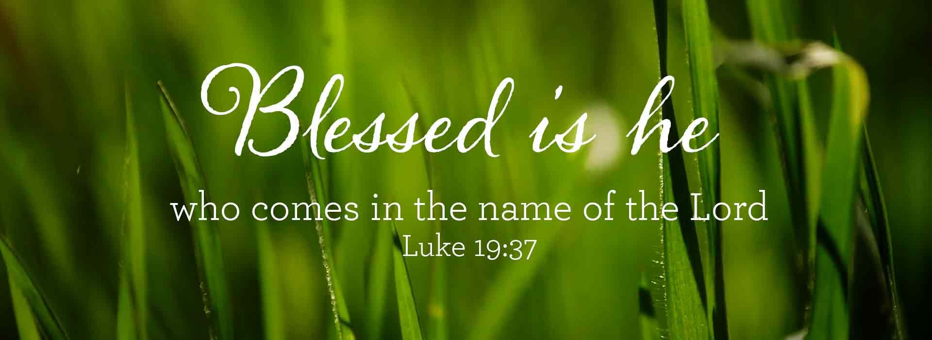 Banner Image 1 For Palm Sunday