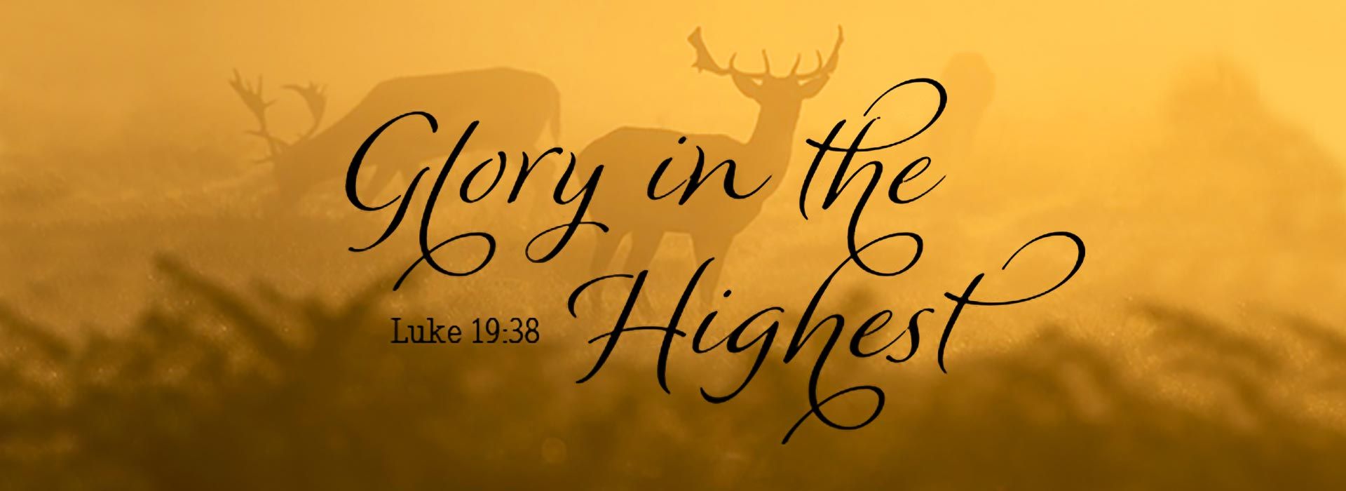 Banner Image 2 For Palm Sunday