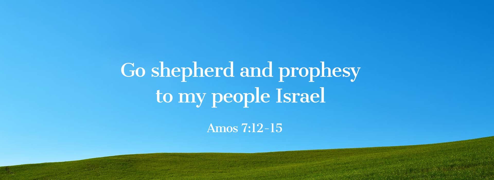 Banner Image 2 For St Patricks Day