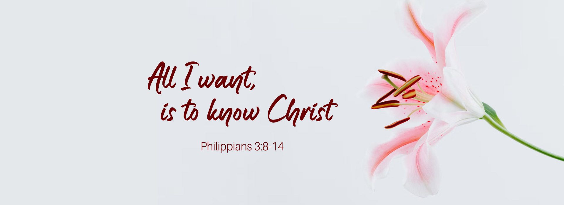 Banner Image 4 For For 5th Sunday Of Lent