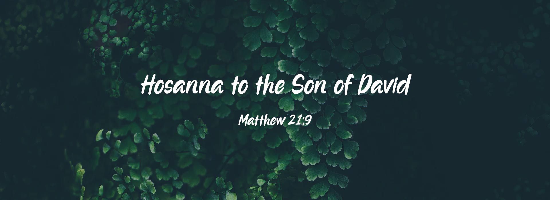Banner Image 4 For Palm Sunday