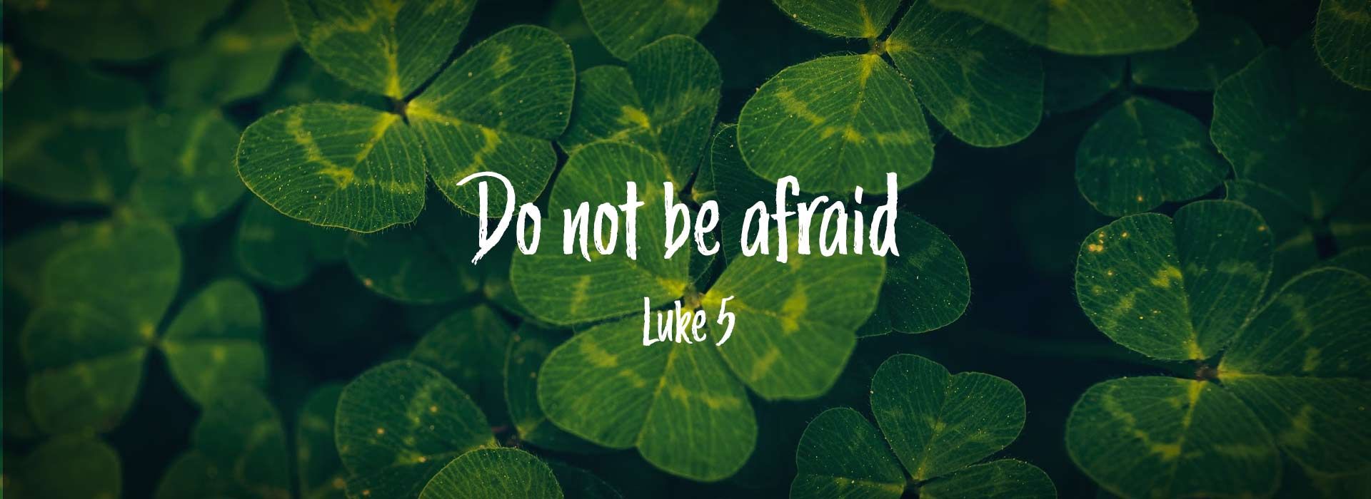 Banner Image 4 For St Patricks Day