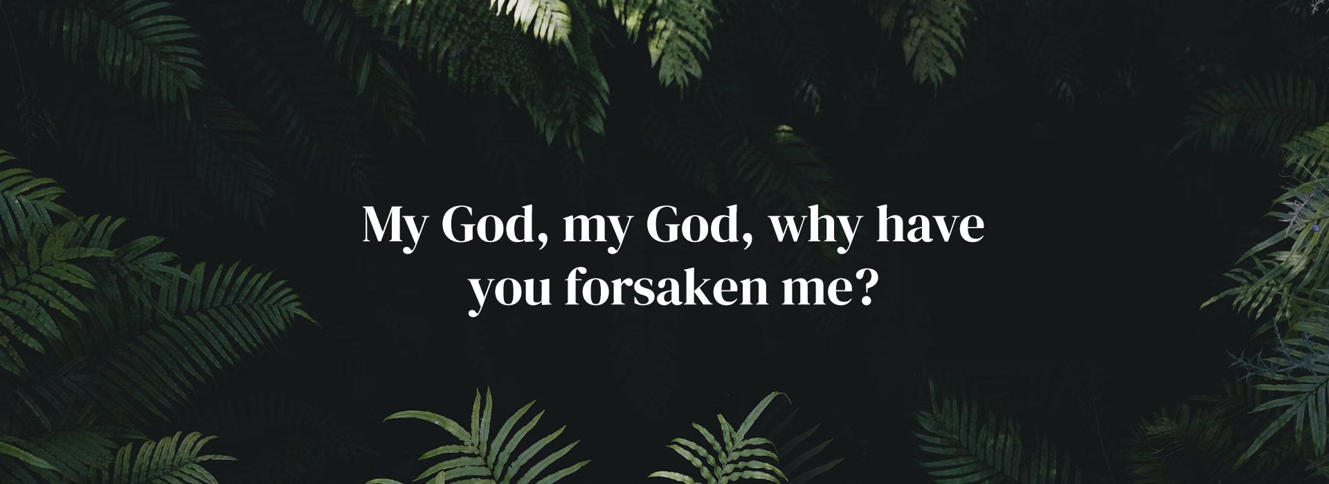 Banner Image 5 For Palm Sunday