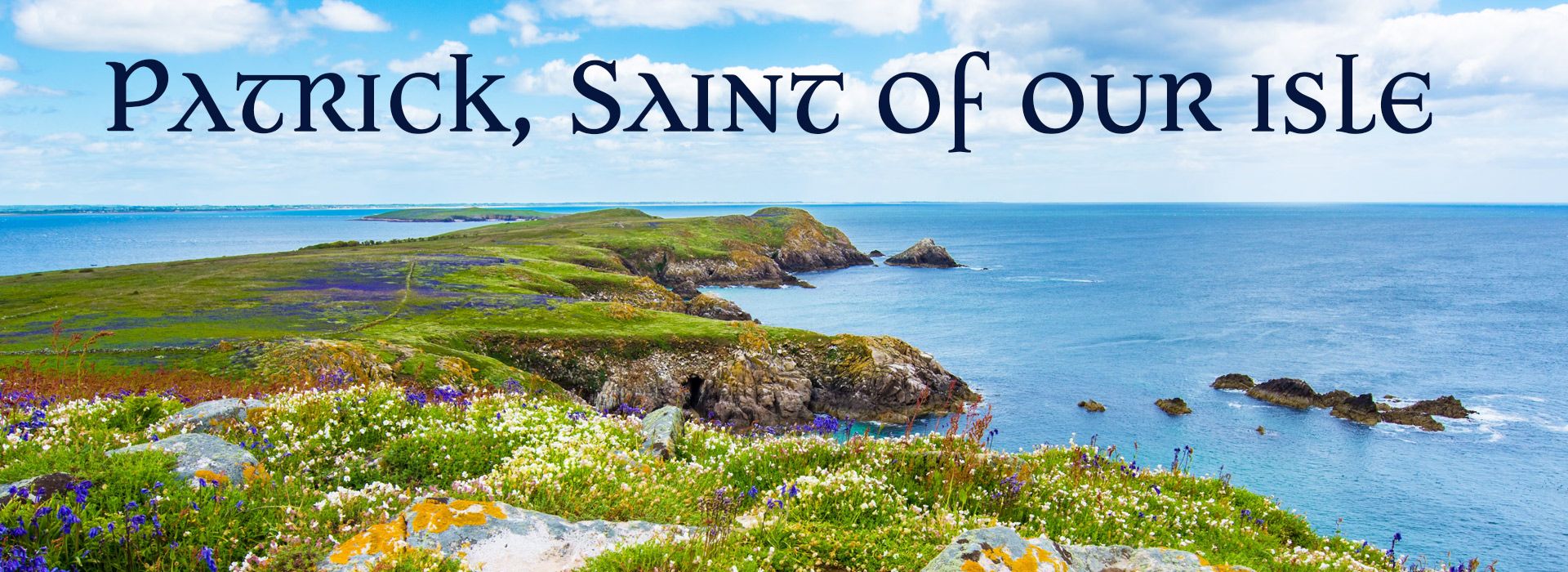 Banner Image 5 For St Patricks Day