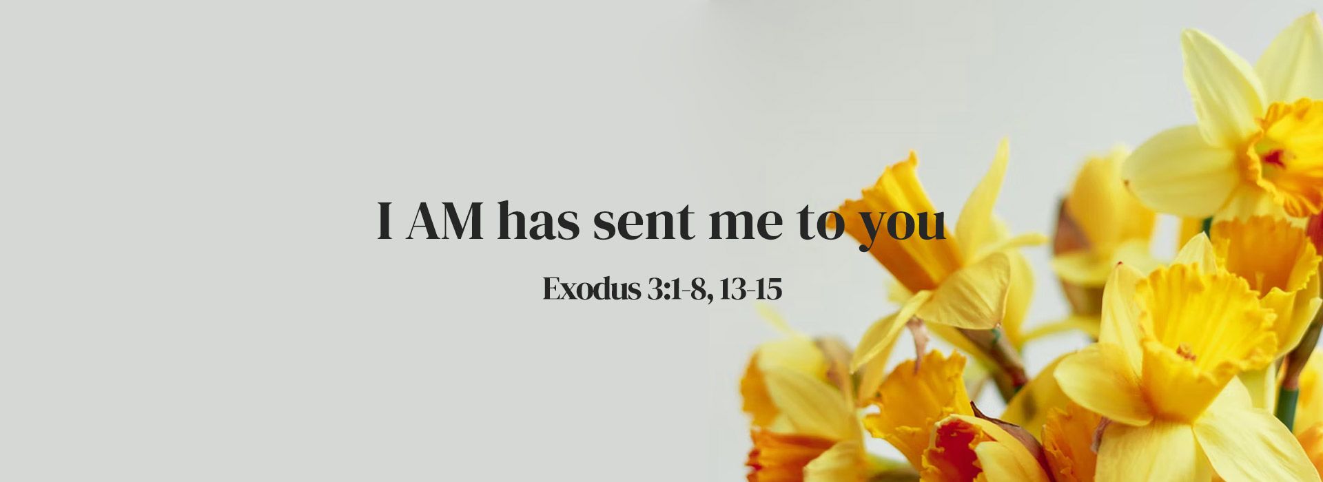 Banner Image 6 For 3rd Sunday Of Lent