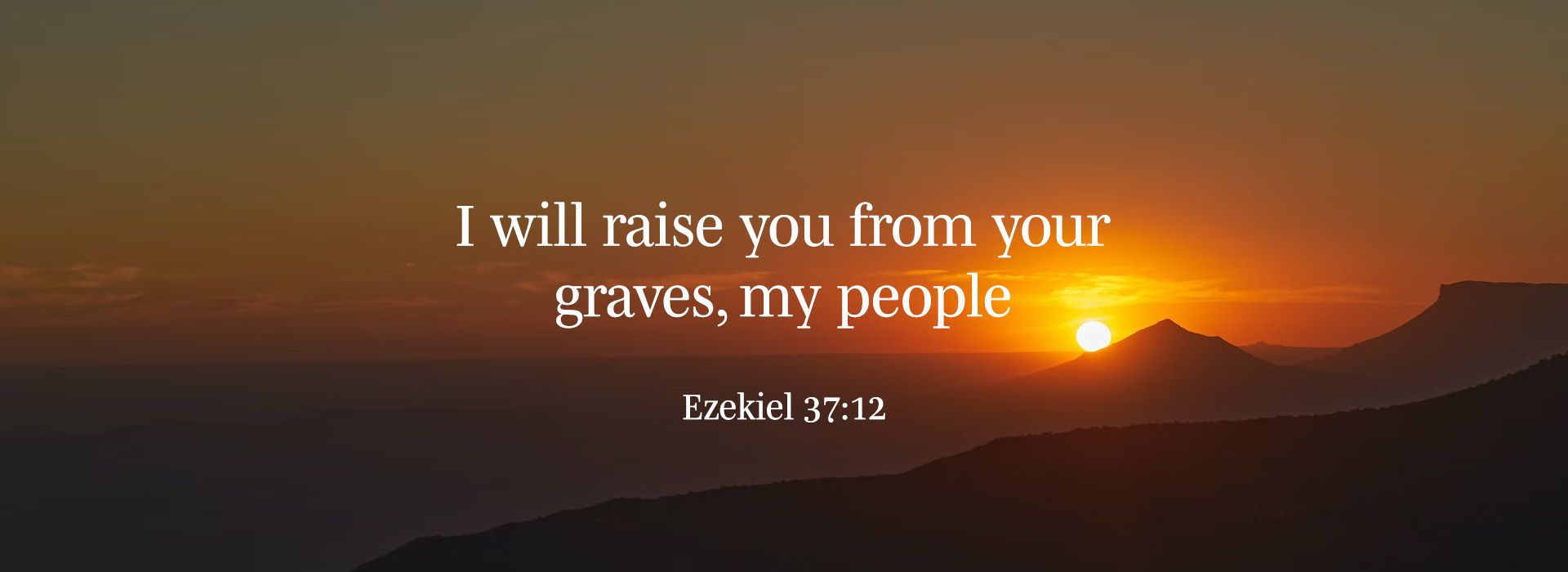 Banner Image 6 For For 5th Sunday Of Lent