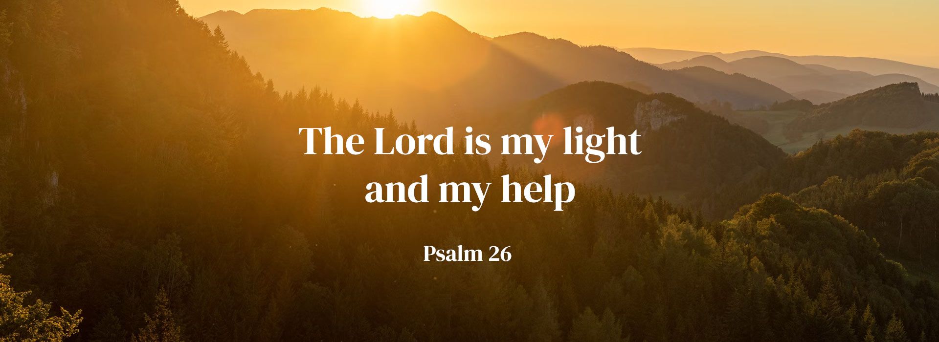 Banner Image 8 For 2nd Sunday Of Lent