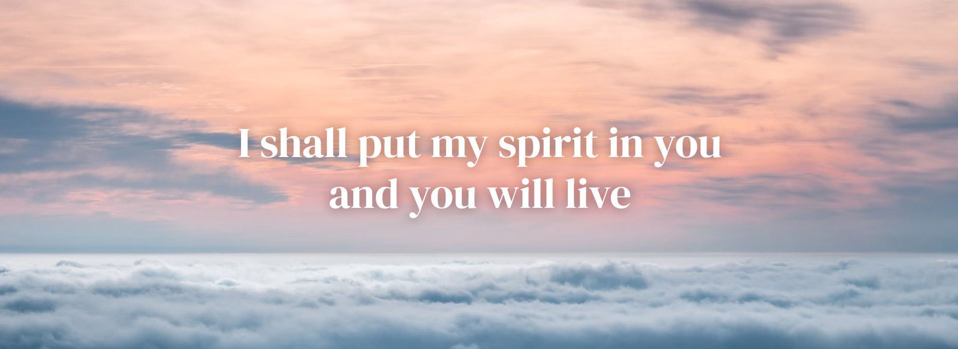 Banner Image 9 For For 5th Sunday Of Lent