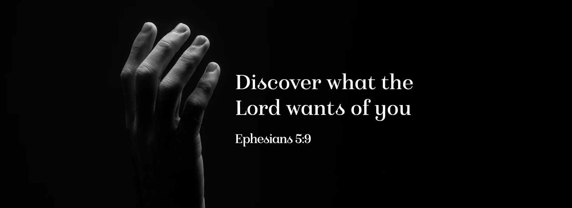 Banner Image 7 For 4th Sunday Of Lent