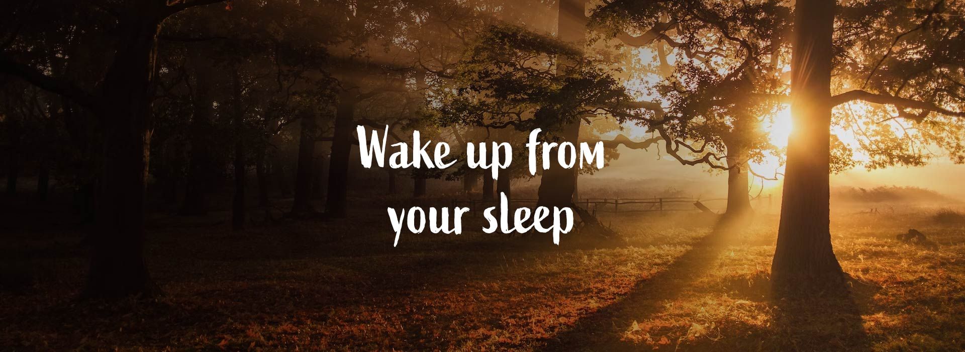 Banner Image 9 For 4th Sunday Of Lent