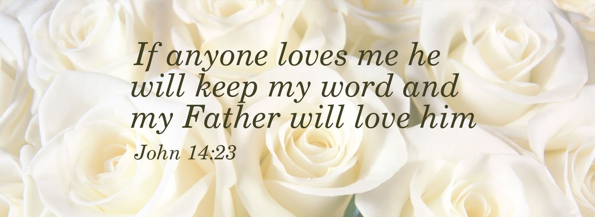 Banner Image 1 For 3rd Sunday Of Easter