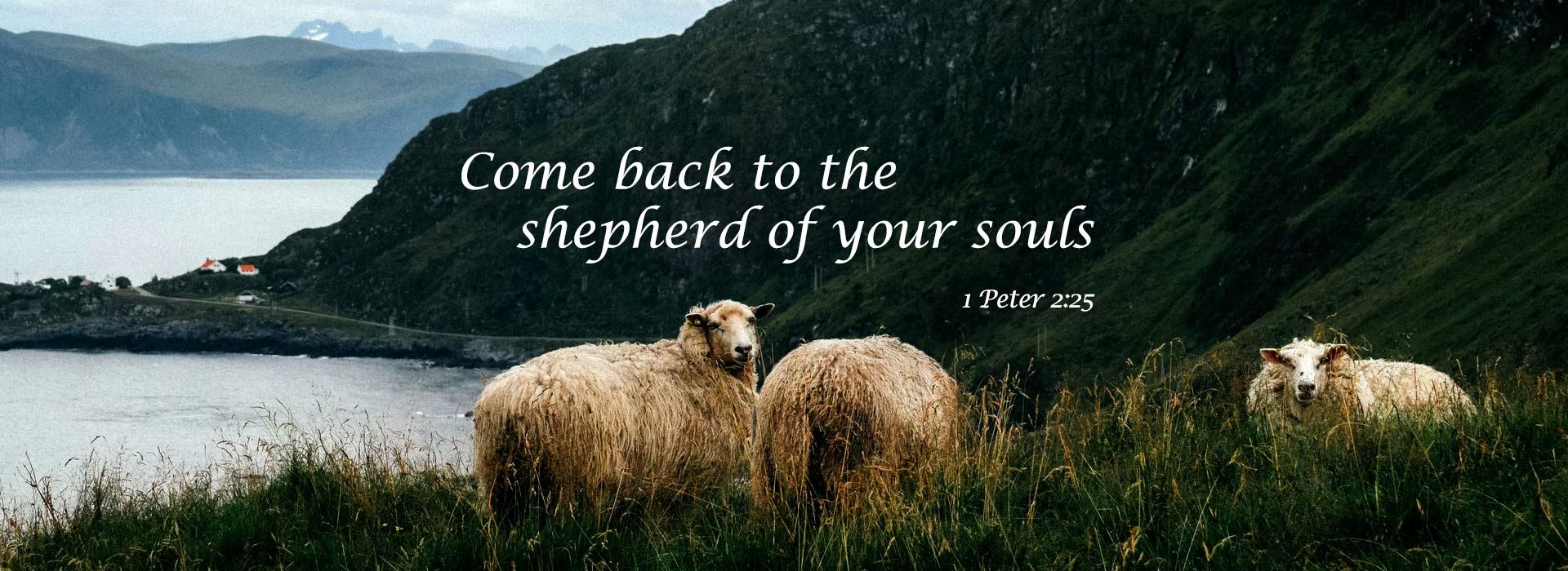 Banner Image 1 For 4th Sunday Of Easter