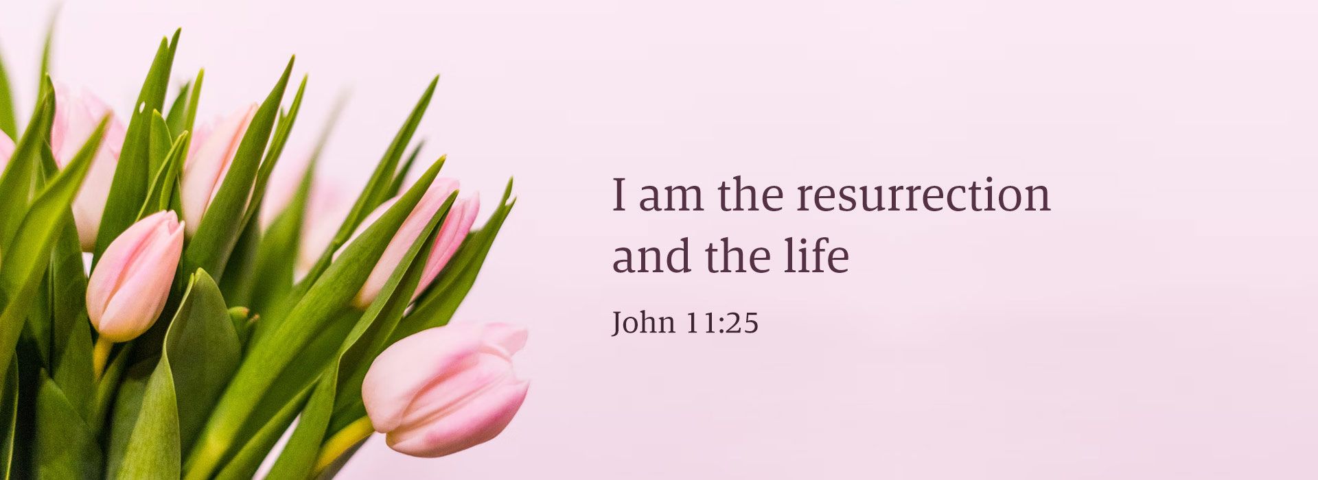 Banner Image 12 For Easter