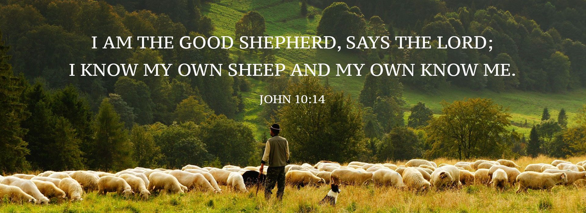 Banner Image 2 For 3rd Sunday Of Easter