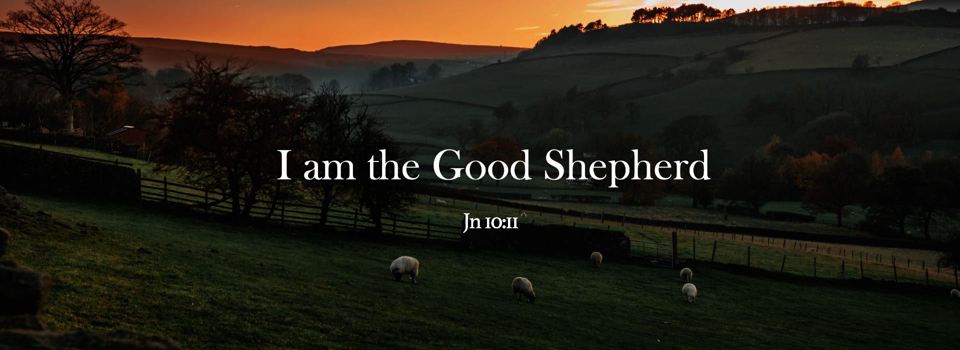 Banner Image 3 For 4th Sunday Of Easter