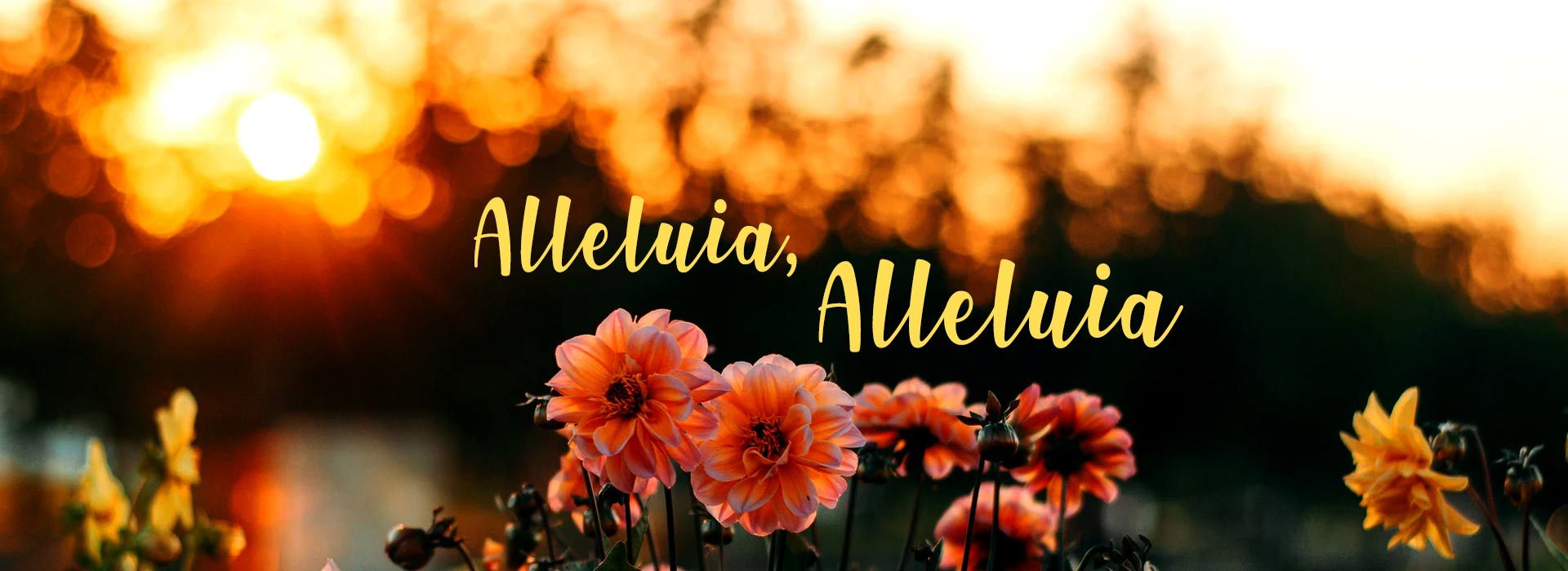 Banner Image 4 For Easter