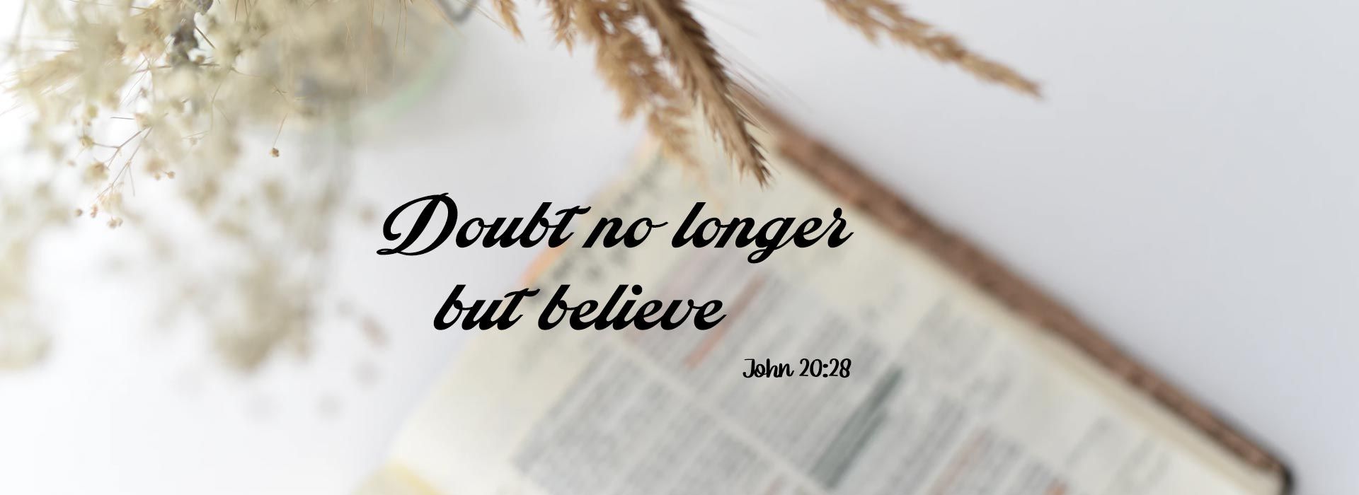 Banner Image 6 For 2nd Sunday Of Easter