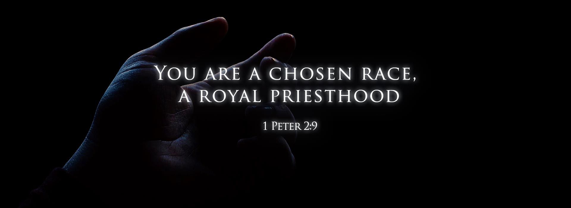 Banner Image 1 For 5th Sunday Of Easter