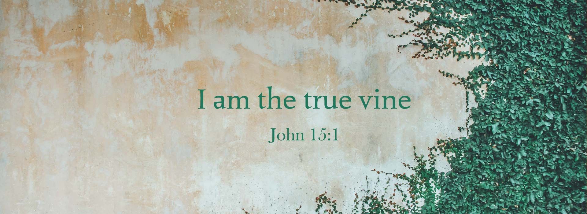 Banner Image 3 For 5th Sunday Of Easter