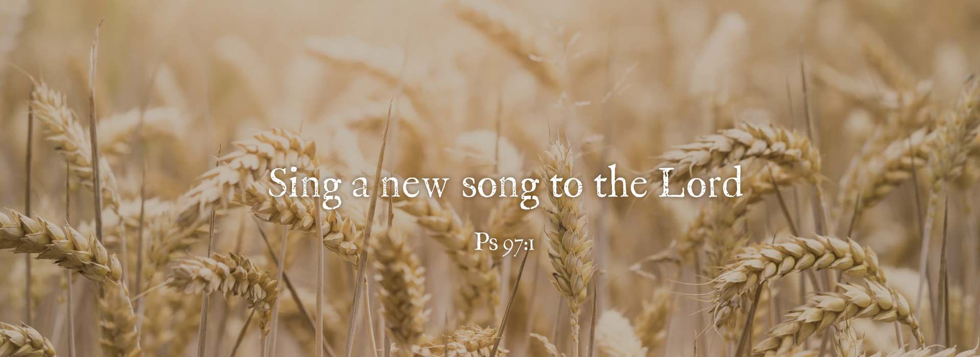 Banner Image 5 For 5th Sunday Of Easter