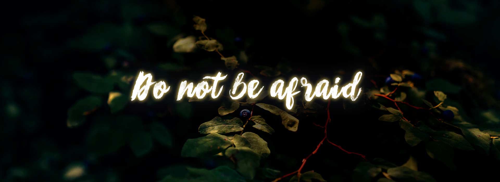 Banner Image 1 For 12th Sunday In Ordinary Time