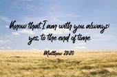 Banner Image 2 For 7th Sunday After Easter