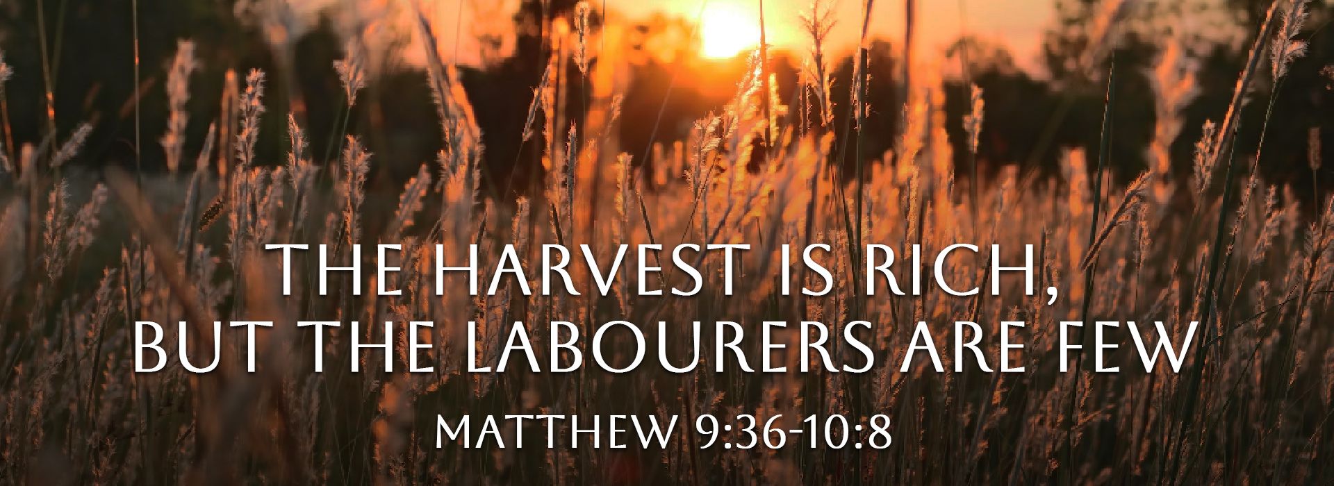 Banner Image 3 For 11th Sunday In Ordinary Time