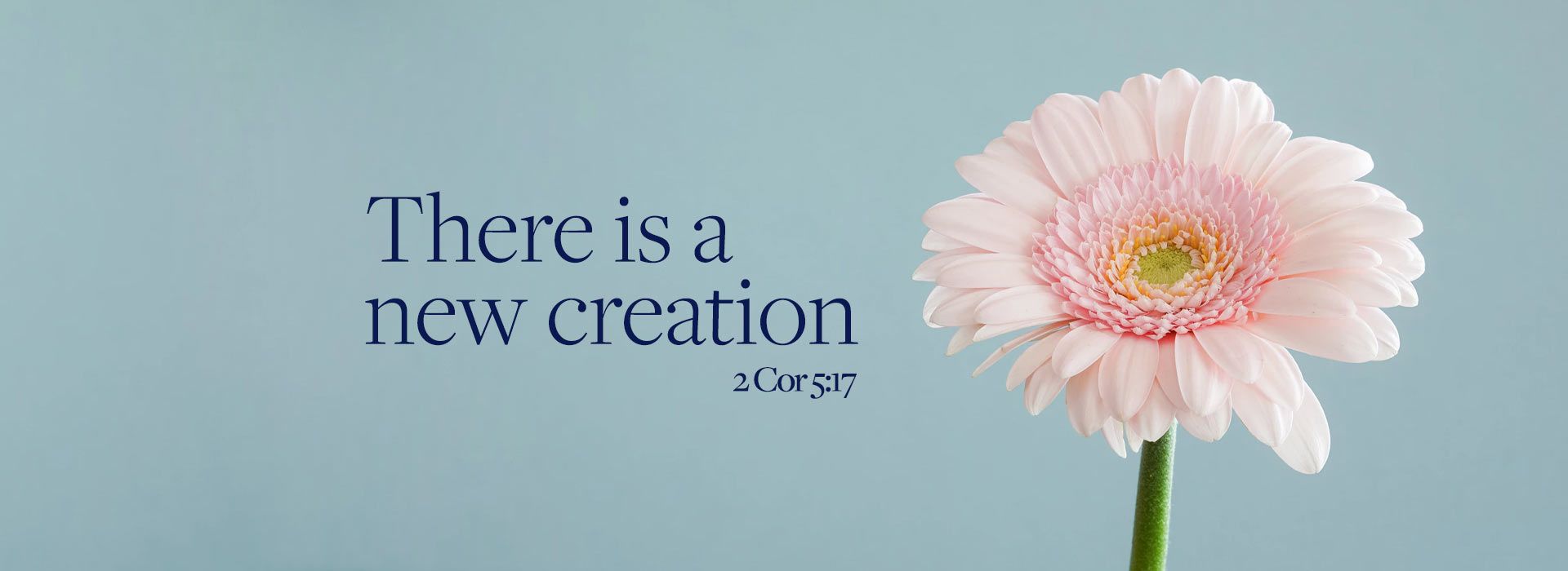 Banner Image 3 For 12th Sunday In Ordinary Time