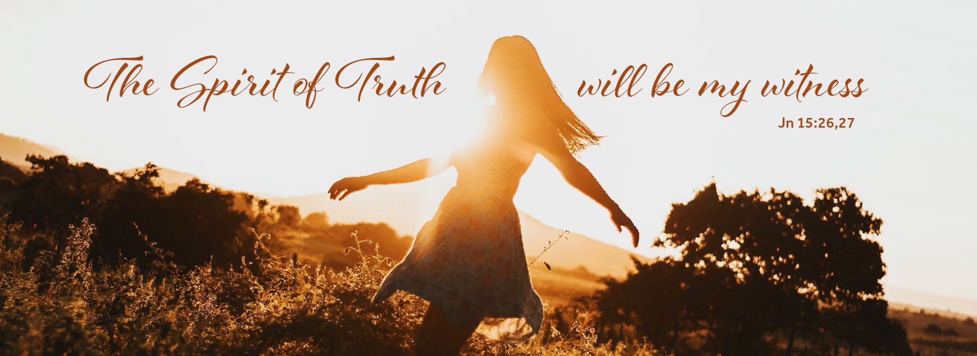 Banner Image 6 For 12th Sunday In Ordinary Time